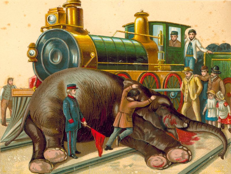 Jumbo, dead by English School