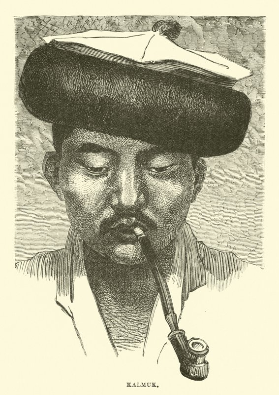Kalmuk by English School