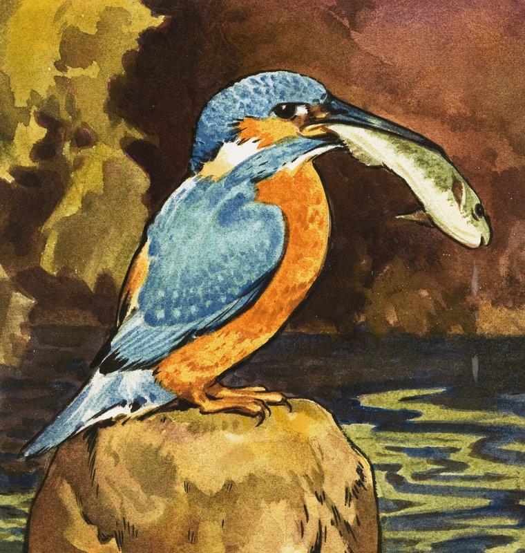 Kingfisher with Fish by English School