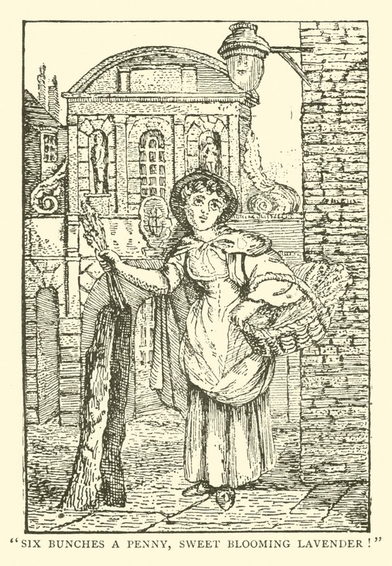Lavender Seller by English School