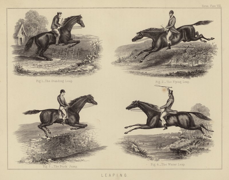 Leaping by English School