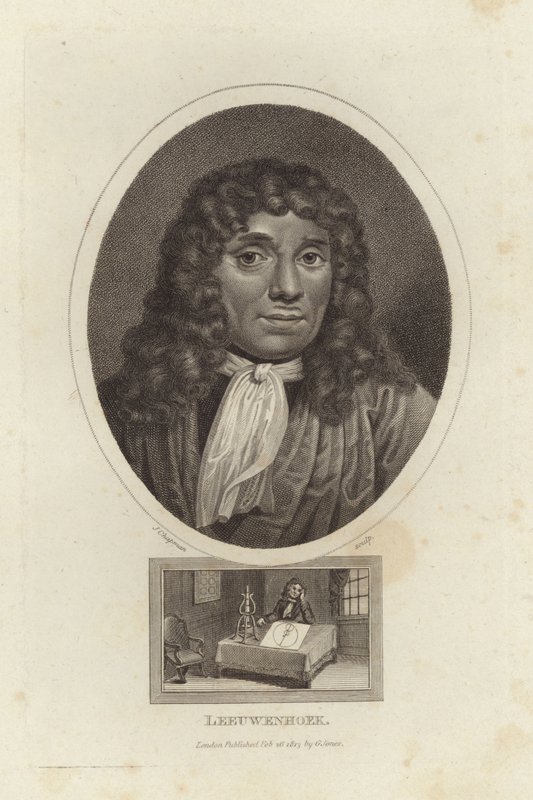 Leeuwenhoek by English School