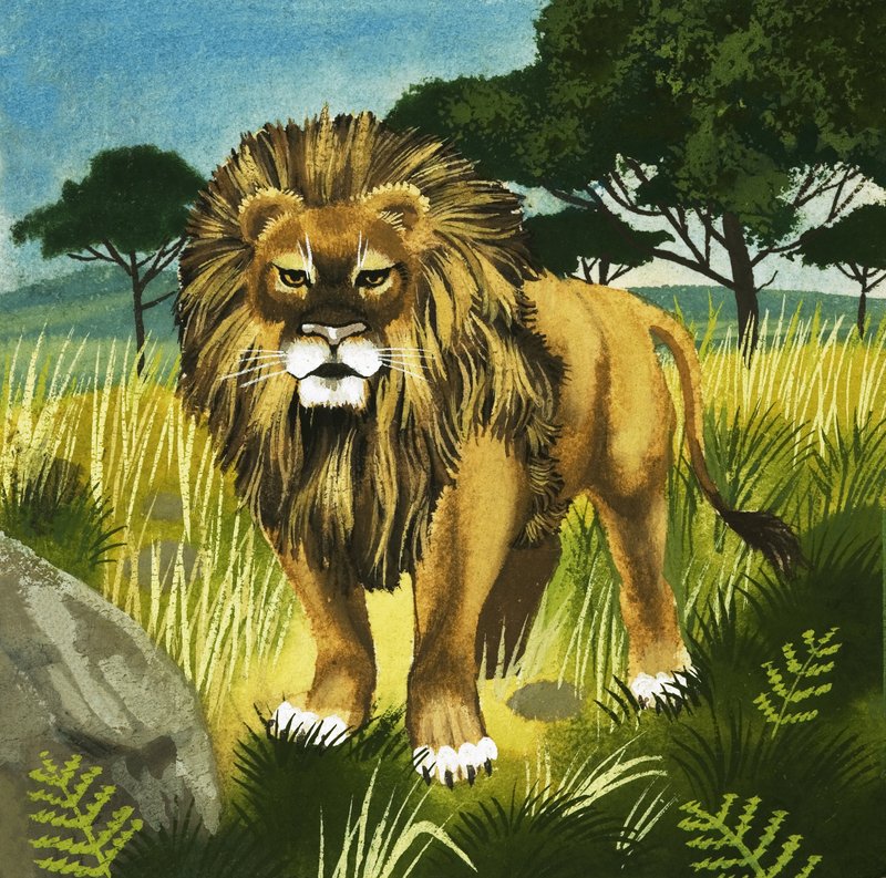 Lion by English School