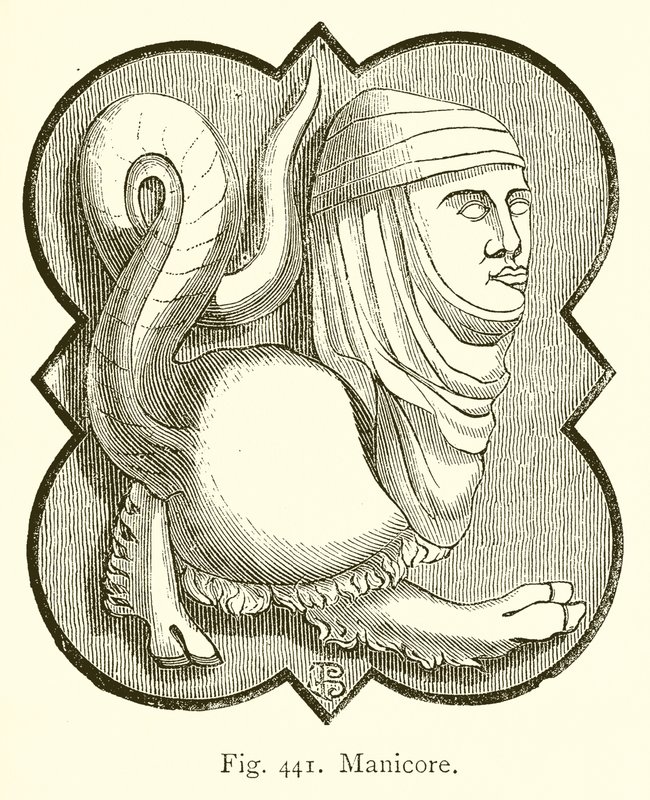 Manicore by English School