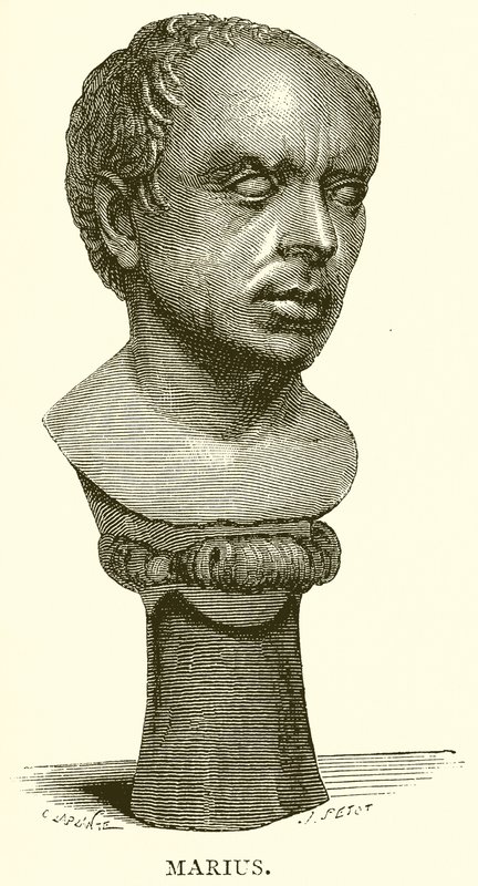 Marius by English School