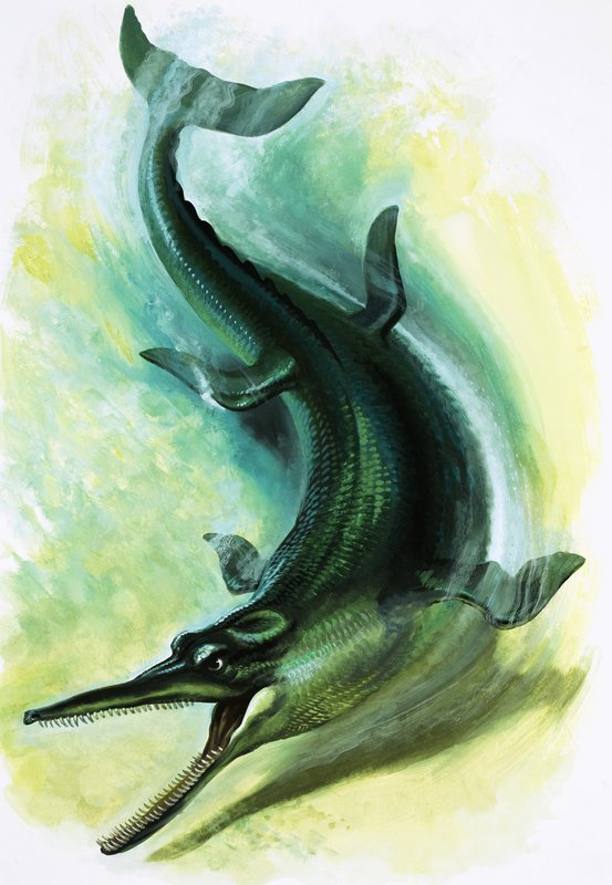 Metriorhynchus by English School
