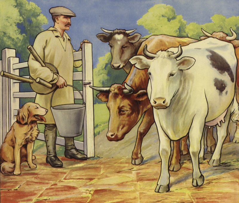 Milking time by English School