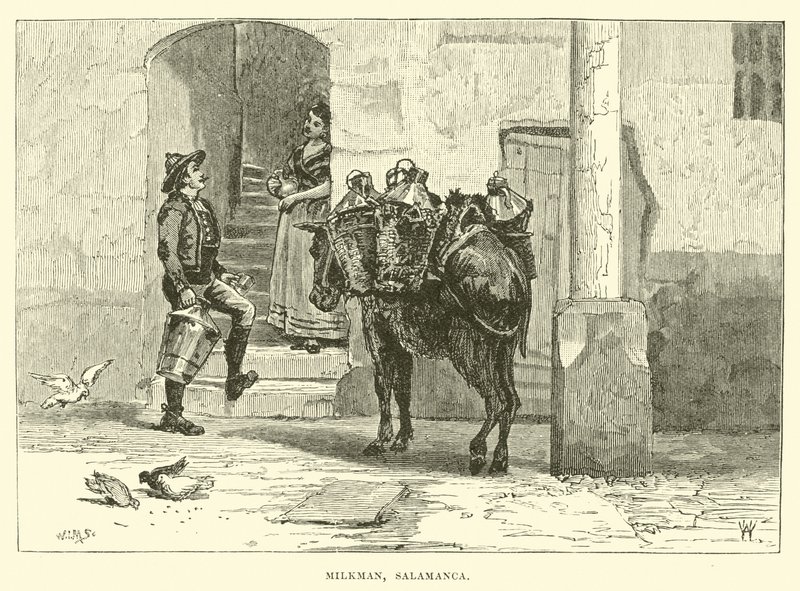 Milkman, Salamanca by English School