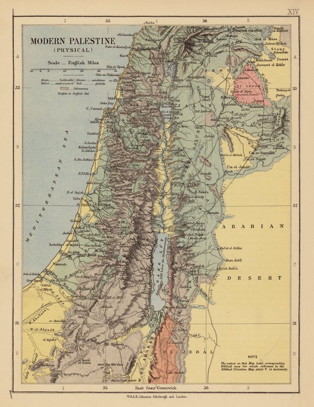 Modern Palestine by English School
