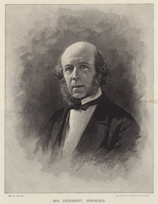 Mr Herbert Spencer by English School