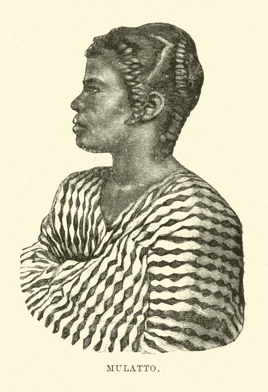 Mulatto by English School