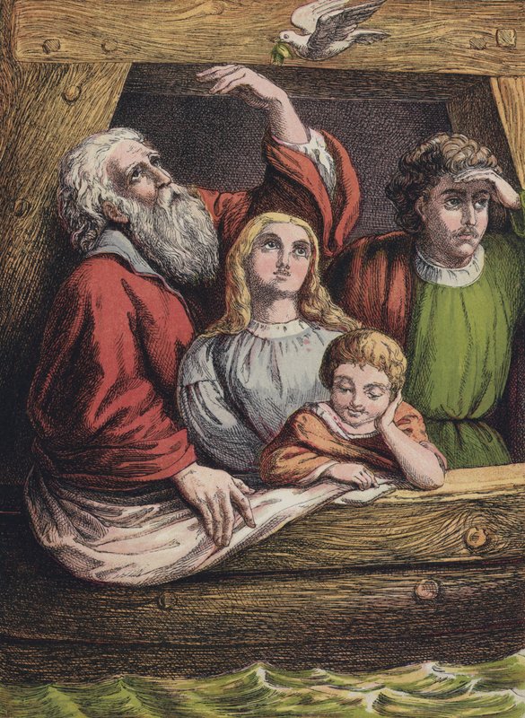Noah