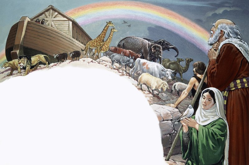 Noah