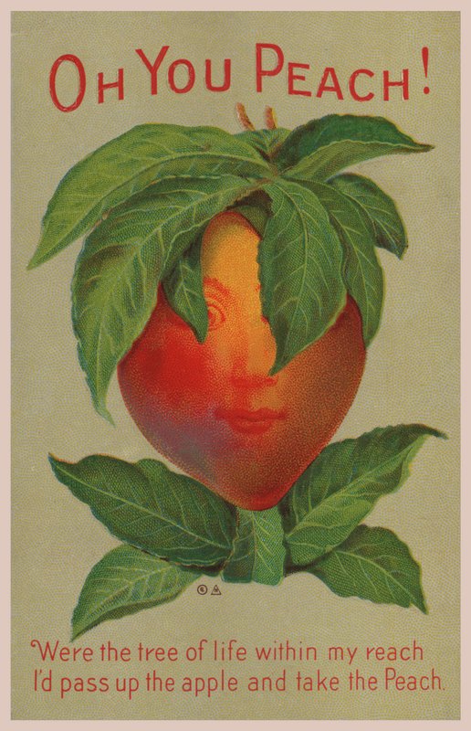 O You Peach! by English School