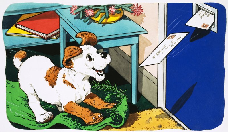 Paddy Paws by English School
