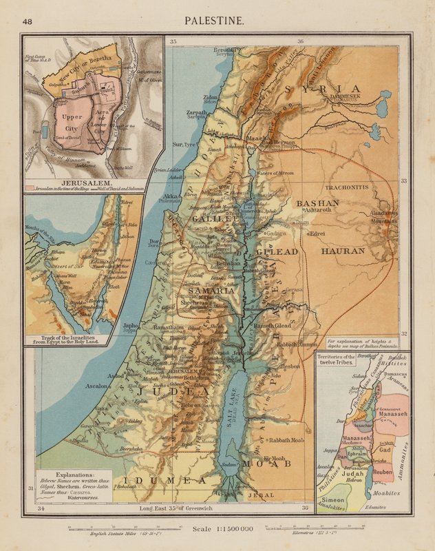 Palestine by English School