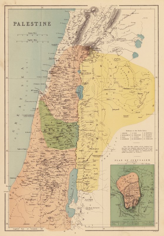 Palestine by English School