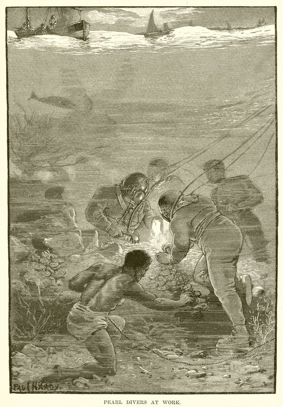 Pearl Divers at Work by English School