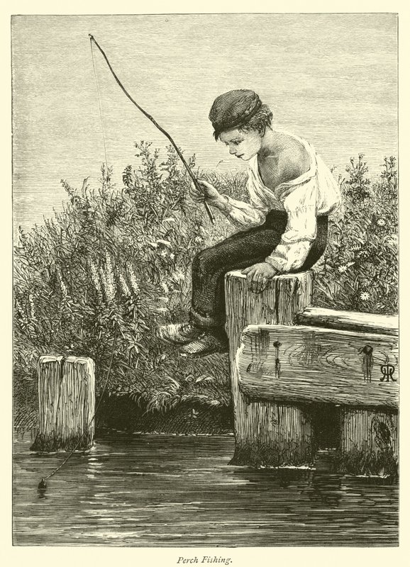 Perch Fishing by English School