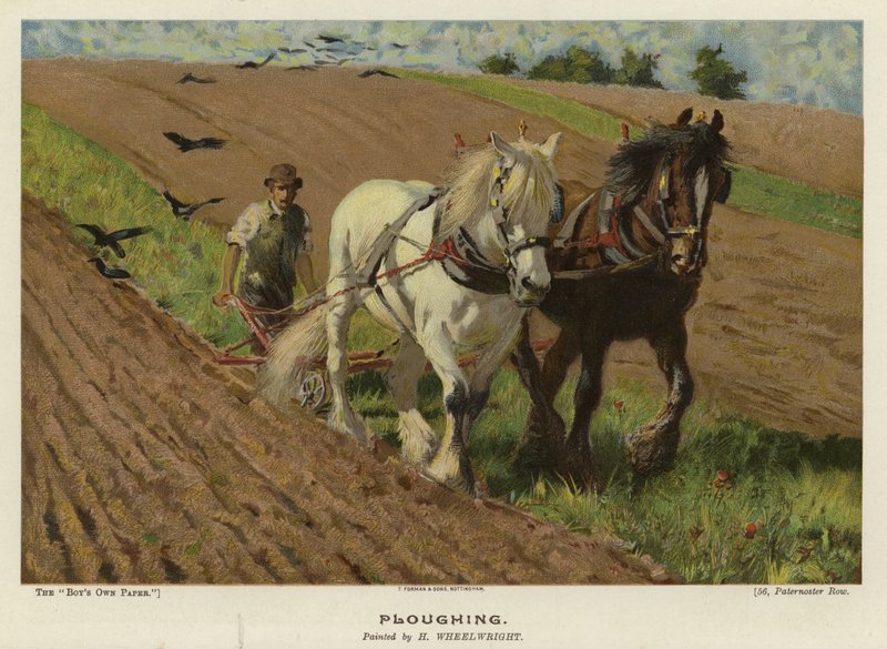 Ploughing by English School