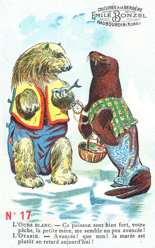 Polar Bear and Seal by English School
