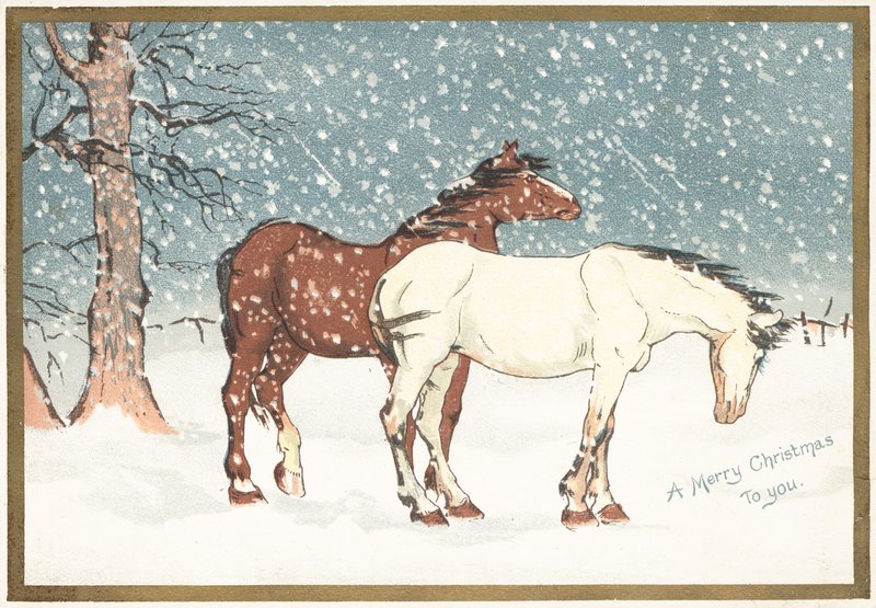 Ponies in the Snow by English School