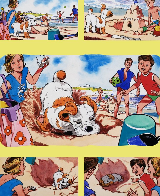 Puppy on beach by English School