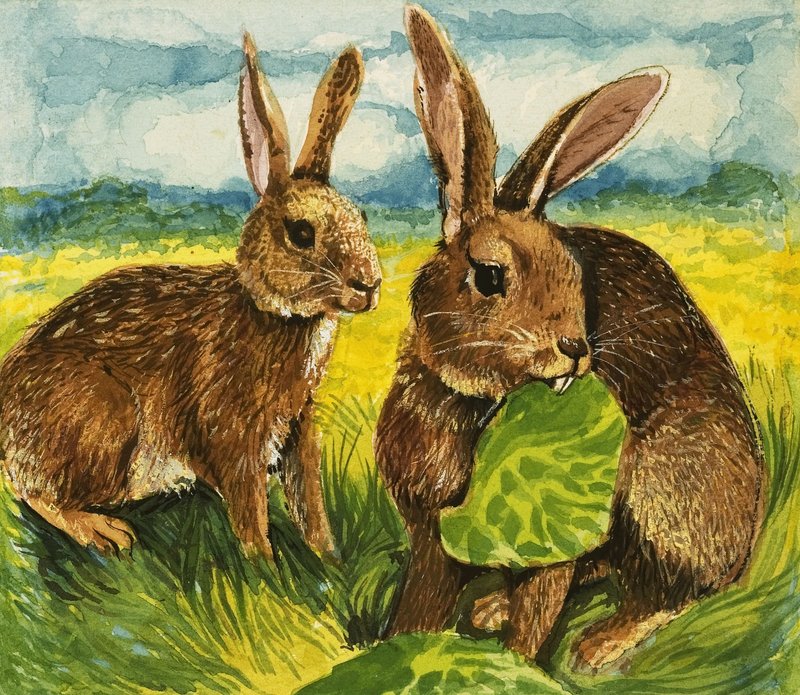 Rabbits eating by English School