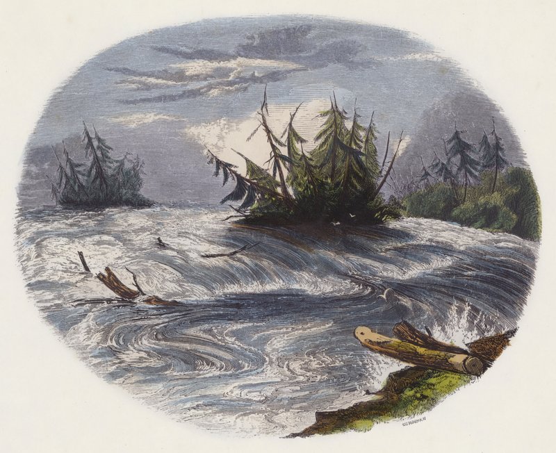 Rapids by English School