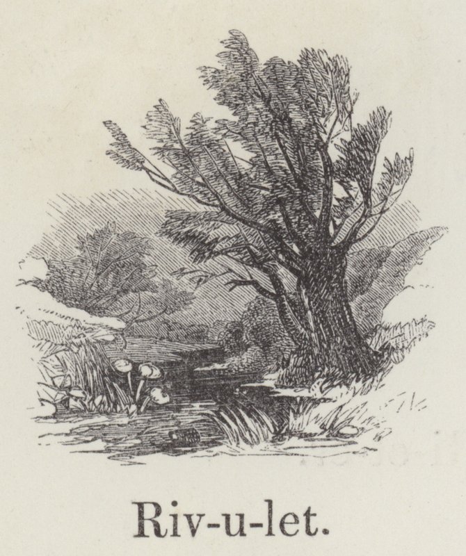 Rivulet by English School