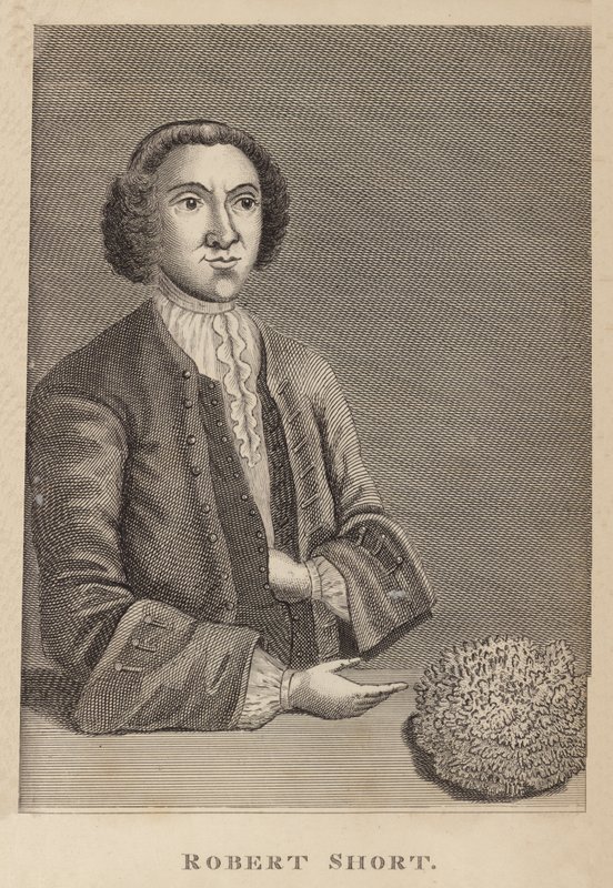 Robert Short by English School