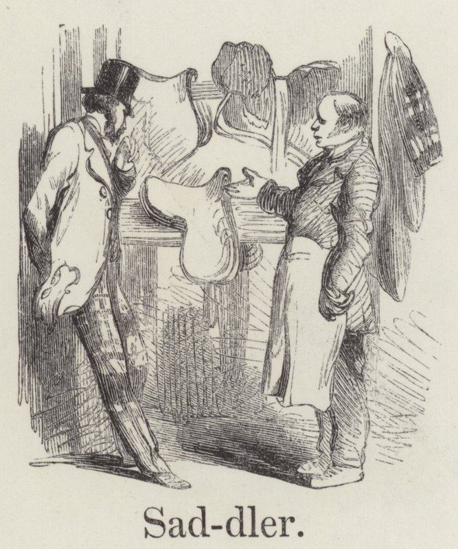 Saddler by English School
