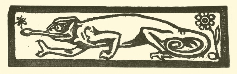Salamander by English School