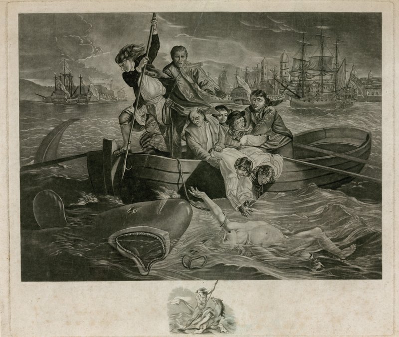 Shark Attack by English School