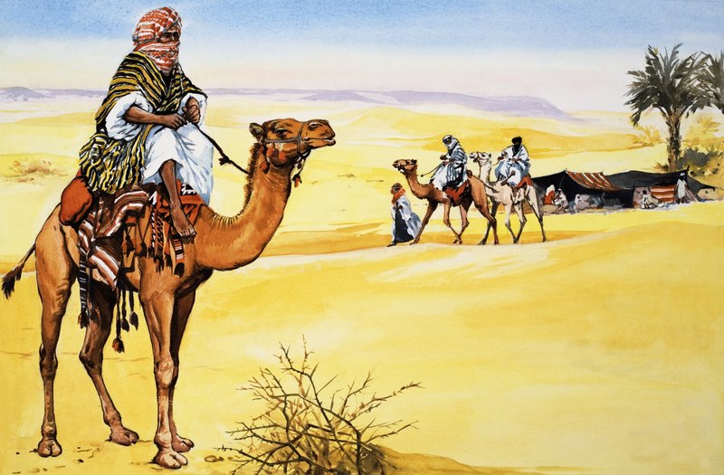 Ships of the Desert by English School