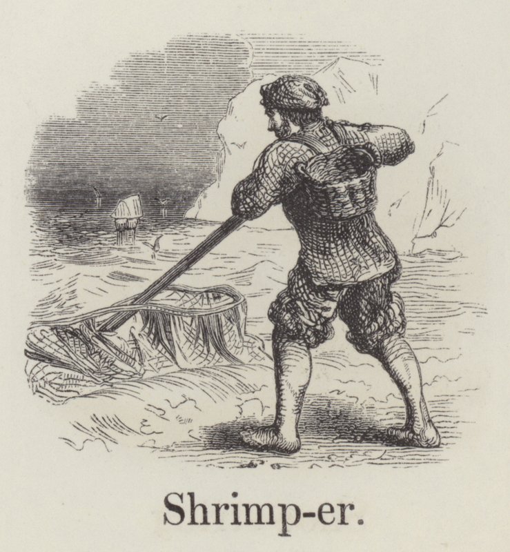 Shrimper by English School