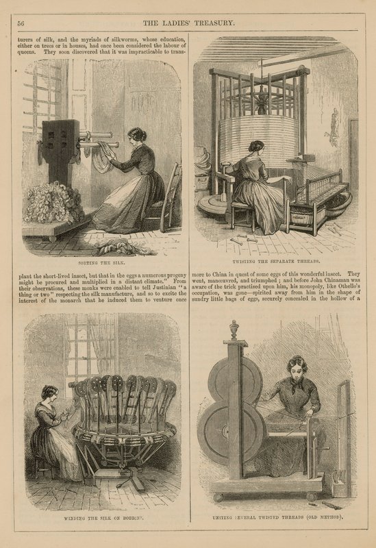 Silk Production by English School