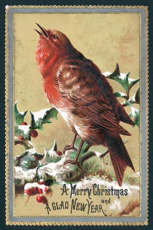 Singing Robin by English School