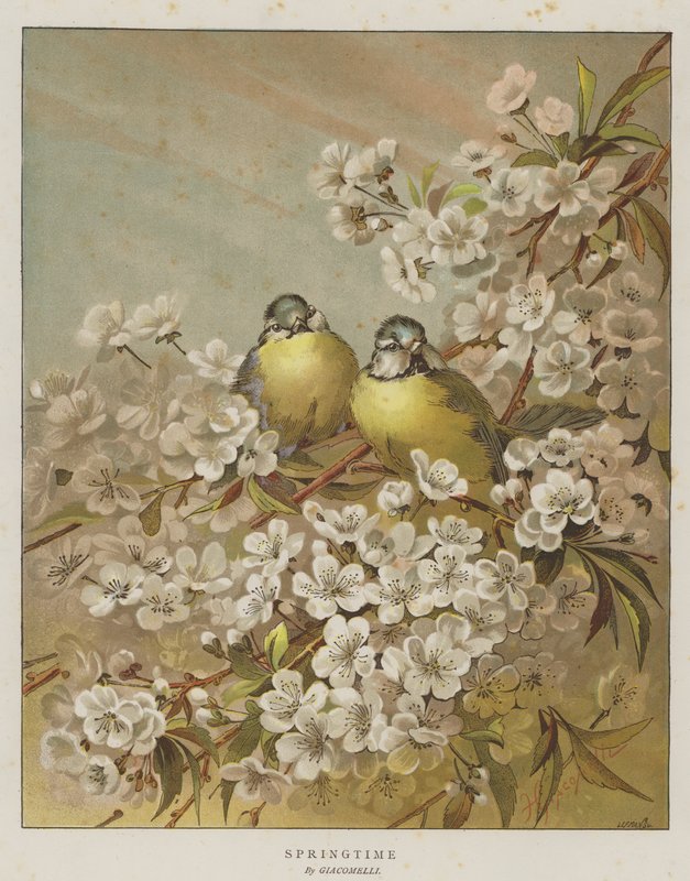 Springtime by English School