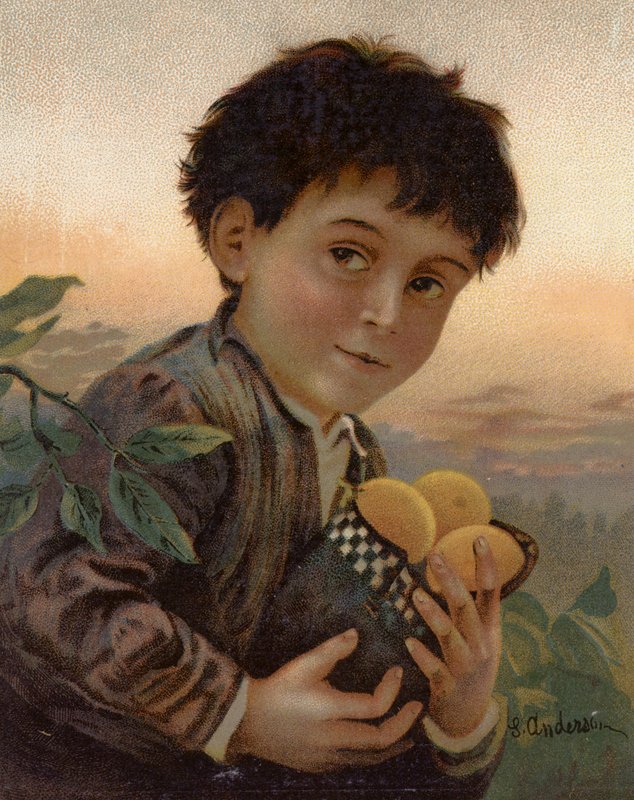 Stolen Fruit by English School
