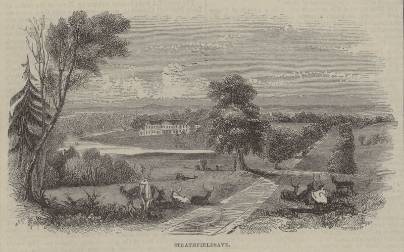 Strathfieldsaye by English School