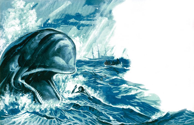 Swallowed by a Whale by English School