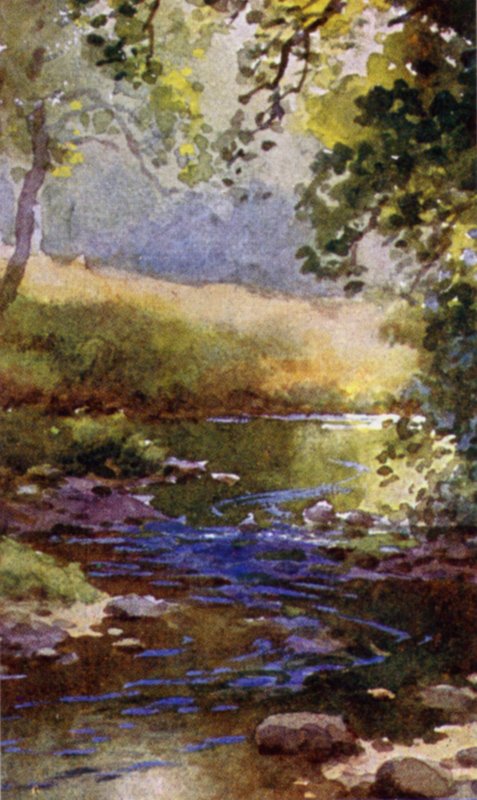 The Brook by English School