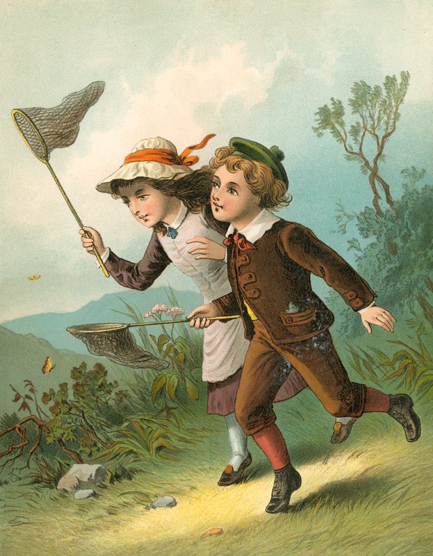 The Butterfly Hunt by English School