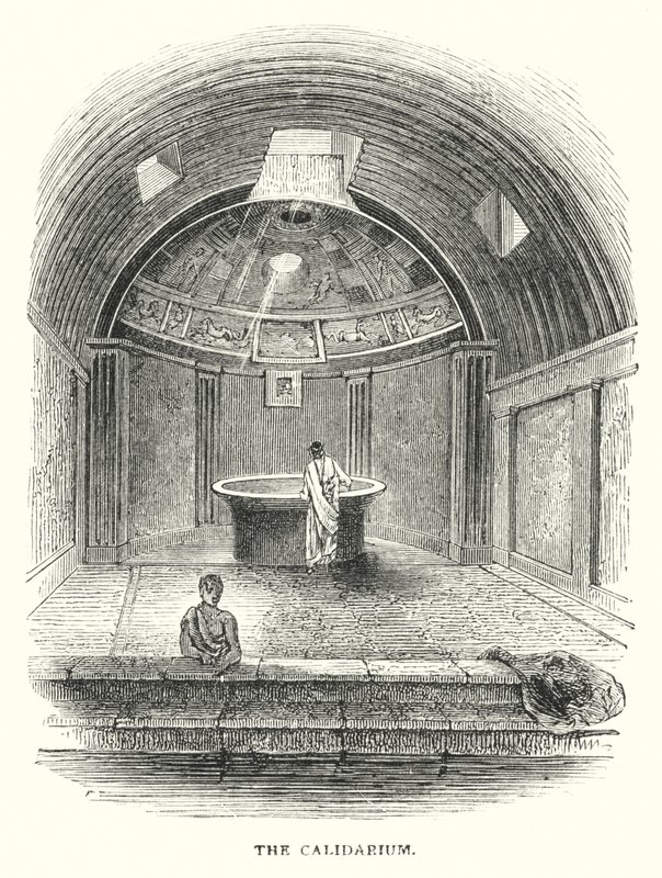 The Calidarium by English School