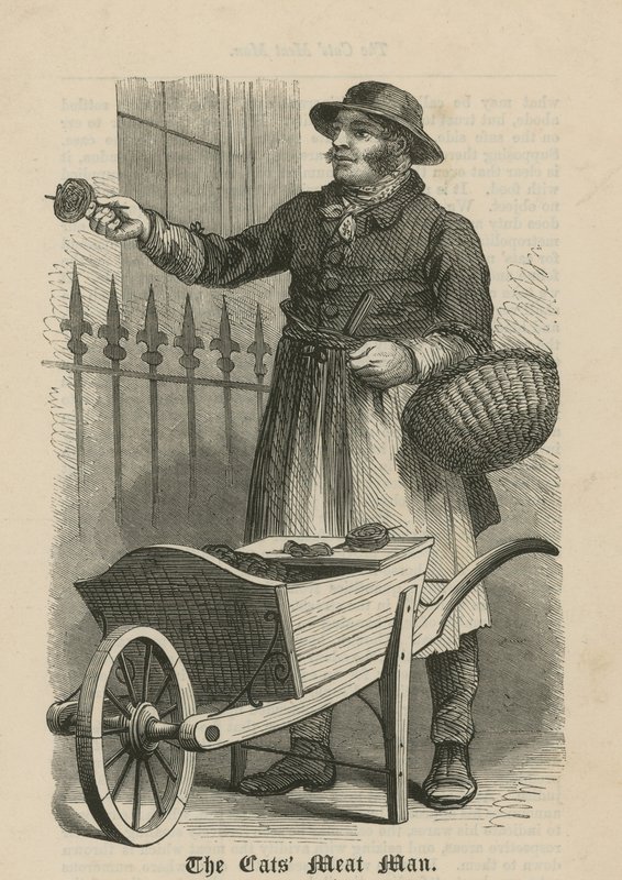 The Cats Meat Man by English School