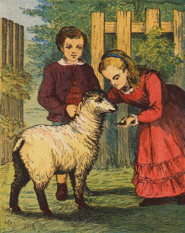 The "Cuckoo" Lamb by English School