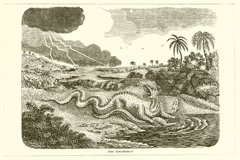 The Iguanodon by English School