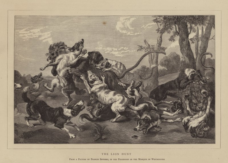 The Lion Hunt by English School