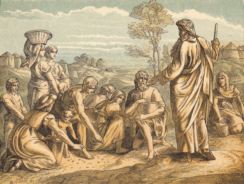 The Manna by English School